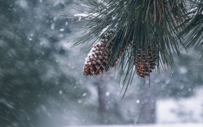 5 Tips For Getting Through The Holidays