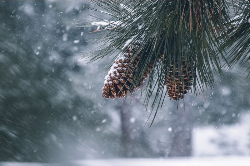5 Tips For Getting Through The Holidays
